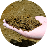 山土（上市産）