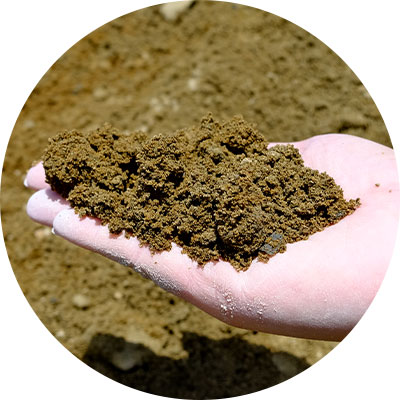 山土（上市産）